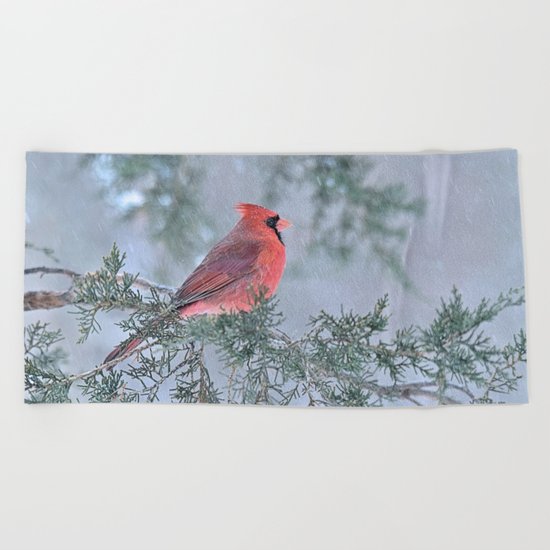 Sleet Cardinal Beach Towel