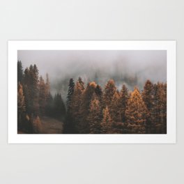 forest fog trees autumn landscape Art Print