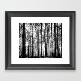 trees in forest landscape - black and white nature photography Framed Art Print