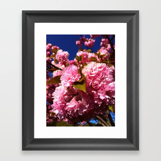 Cherry Blossoms Framed Art Print