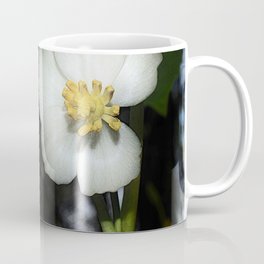May Apple Coffee Mug | White, Photo, Understory, Surreal, Springtime, Shadowy, Wildflowers, Simpleplant, Nature, Darklines 