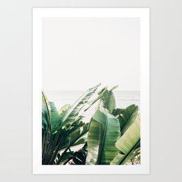 Pretty Palms Art Print