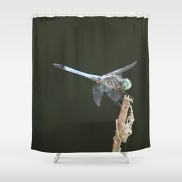 Dragonfly 1 Shower Curtain