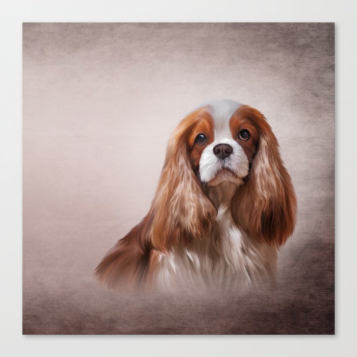 Dog breed Cavalier King Charles Spaniel Canvas Print