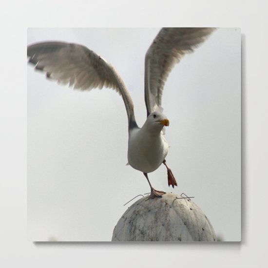 Wings Metal Print
