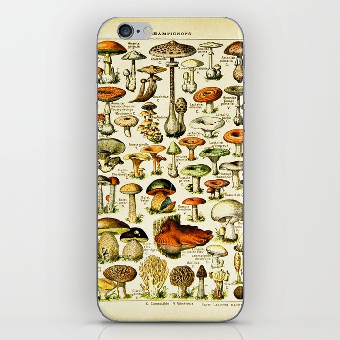 Vintage French Mushrooms iPhone Skin