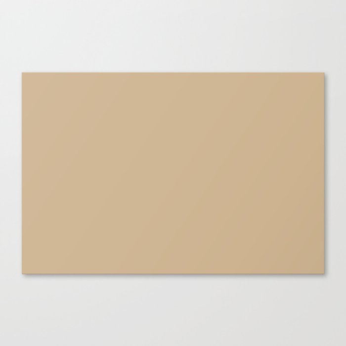 Neutral Beige / Tan Solid Color Pairs Pantone Almond Buff 14-1116 TCX - Shades of Orange Hues Canvas Print
