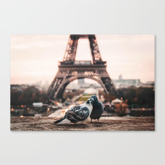 Lover Doves in Paris Canvas Print