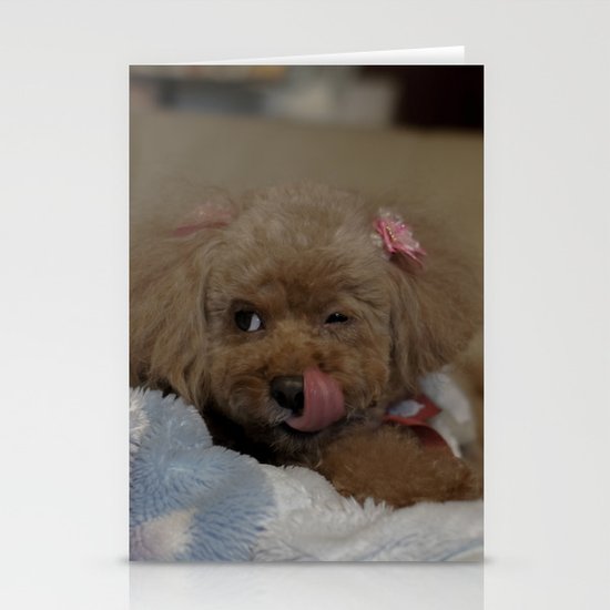 cute Stationery Cards