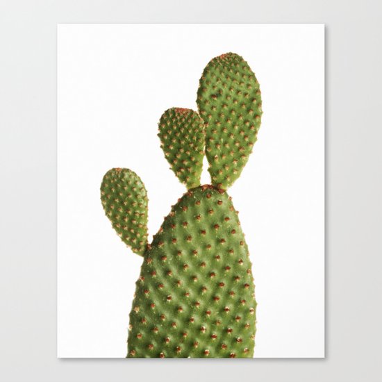 Minimal Cactus - Cacti Canvas Print