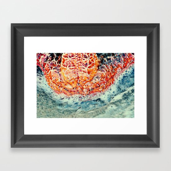 Starfish Framed Art Print