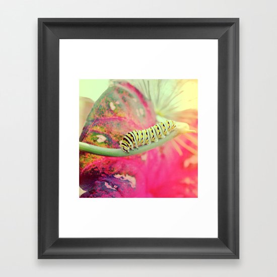It's not a butterfly yet! Framed Art Print