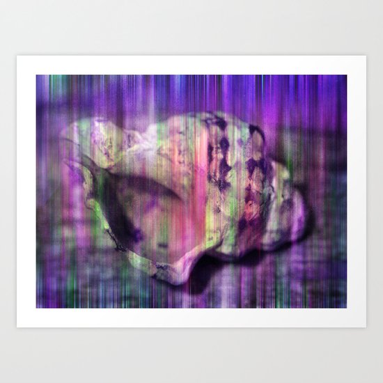 colorful shell Art Print