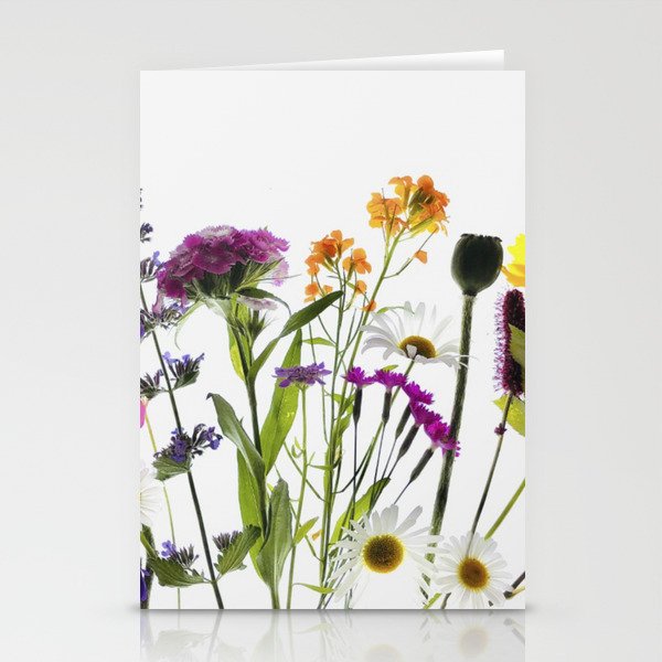 Wild in the Woods Stationery Cards
