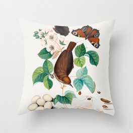 House wren and eggs, Peacock butterflies, butterfly chrysalis, larva caterpillar, daddy longlegs spider and snout beetle from the Natural History Cabinet of Anna Blackburne Throw Pillow
