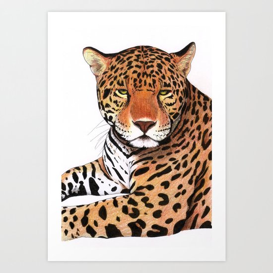 Jaguar Art Print