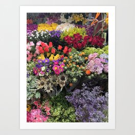 CDMX Flowers Art Print