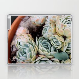 California Potted Succulents Laptop & iPad Skin