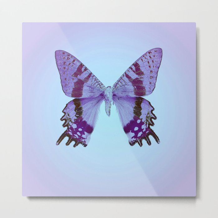 Blue Butterfly Metal Print