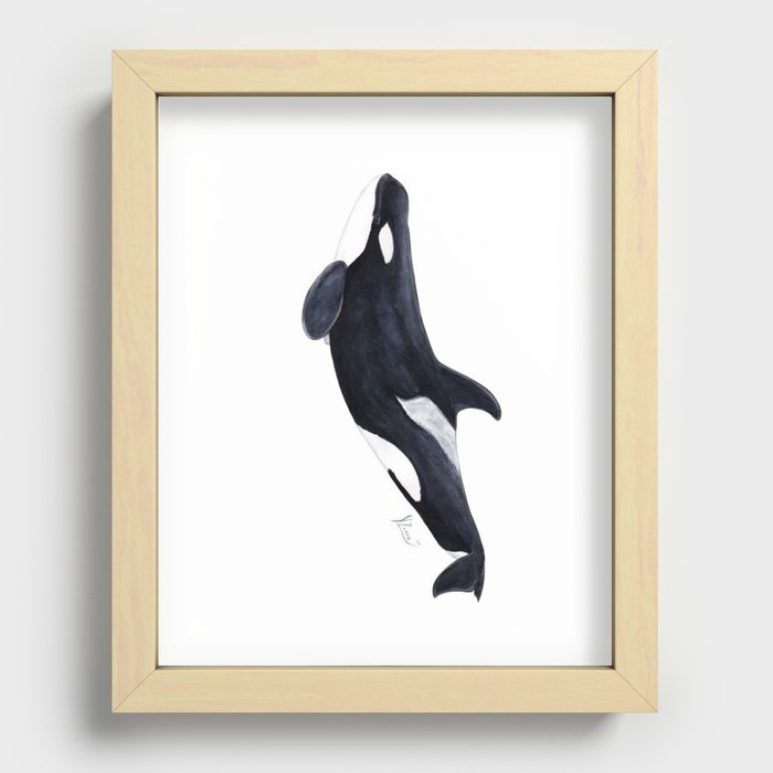 Orca killer whale Recessed Framed Print