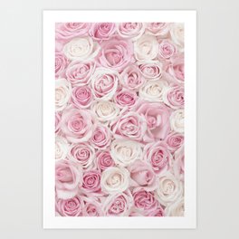 Pink Roses Art Print