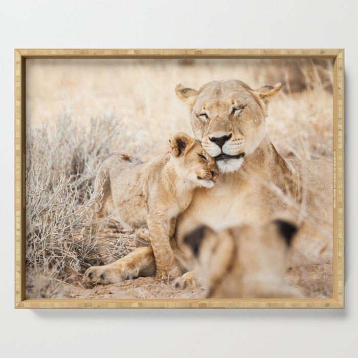 Lioness and a cub cuddling together; fine art travel photo Serving Tray