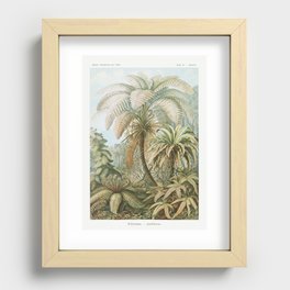 Florida tropical palmtrees  Recessed Framed Print