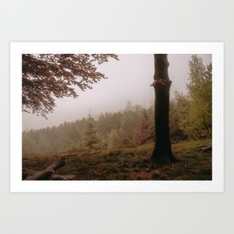 Foggy forest | Mystical | Fine art Photography  Art Print