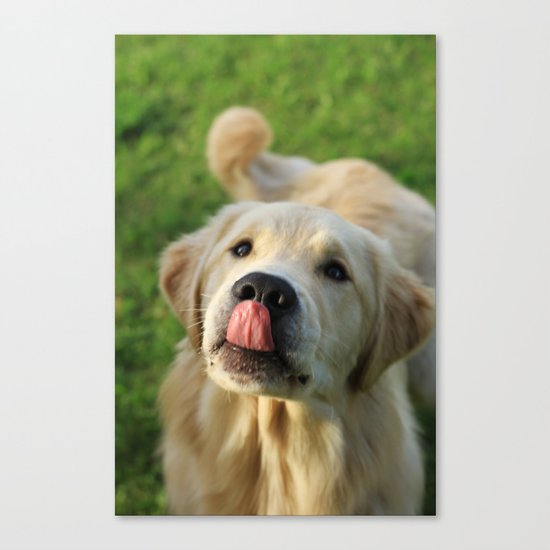 Puppy lickin' love Canvas Print