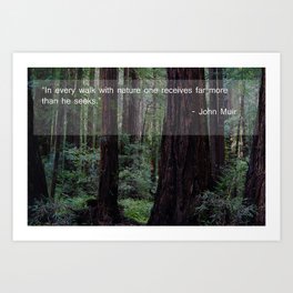 Muir Woods Quote 1 Art Print