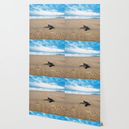 Sea Turtle Wallpaper For Any Decor Style Society6