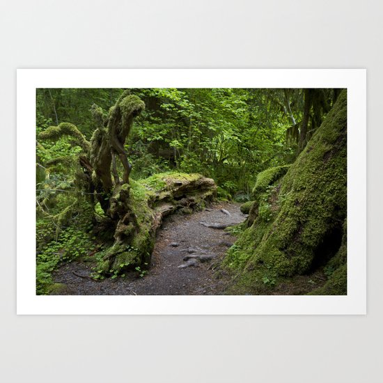 forest growth Art Print