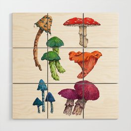 colorful watercolor mushrooms Wood Wall Art