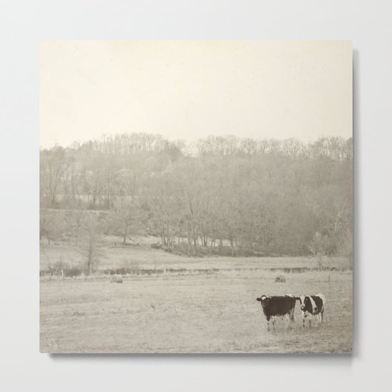 How now two cows Metal Print