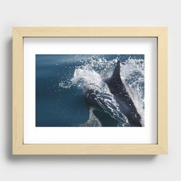 White-beaked dolphin  Recessed Framed Print