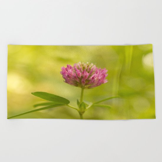Red clover in August Beach Towel