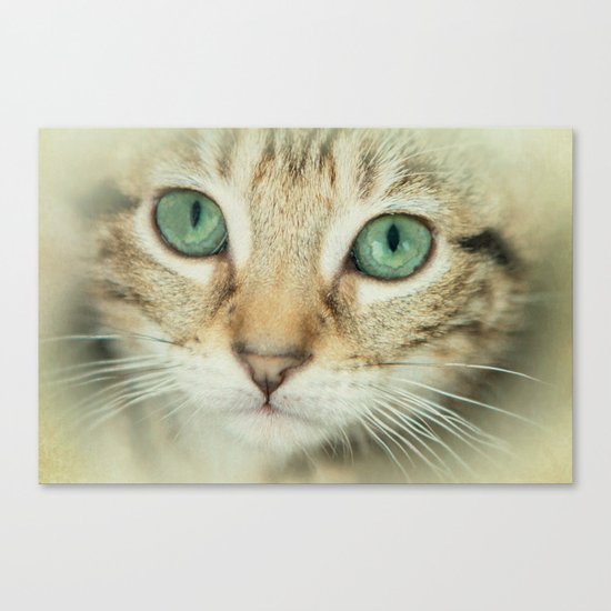 FELINE BEAUTY Canvas Print