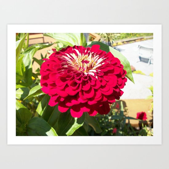 Mum's the Word Art Print