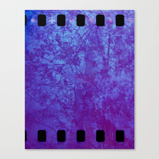 Pink & Purple Blossoms Canvas Print