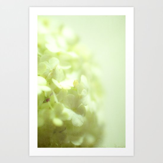 {delicate} Art Print