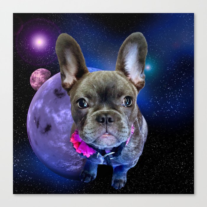 Dog French Bulldog and Galaxy Leinwanddruck