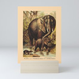Elephantidae Mini Art Print