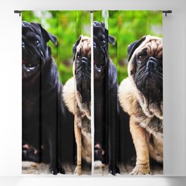 Funny Face Pug Dogfunny Dog Playing Blackout Curtain