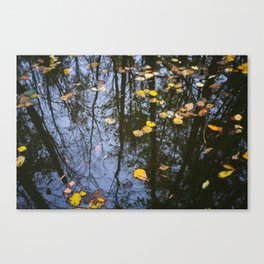 Rest and Reflect Canvas Print