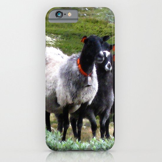 mountain sheep iPhone & iPod Case