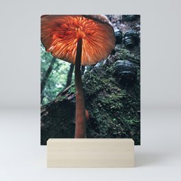 Glowing Mushroom Mini Art Print