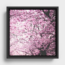 Cherry Blossom Beauty Framed Canvas