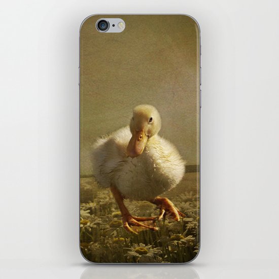 Dancing On Daisies iPhone & iPod Skin