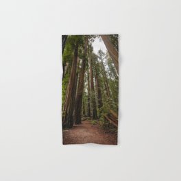Redwood Forest Adventure VII - Nature Photography Hand & Bath Towel