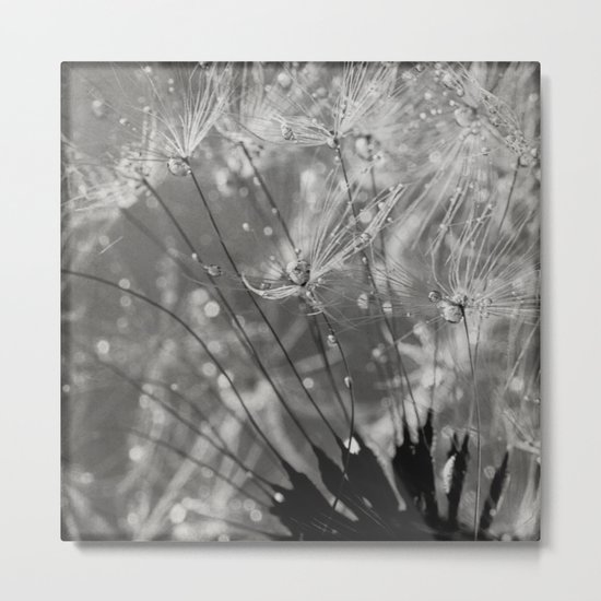 silver tears Metal Print